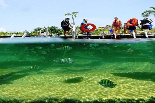 Tour image 5