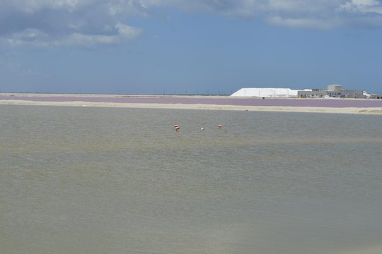 Tour image 1