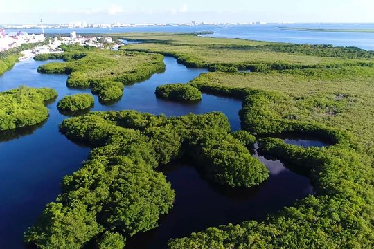 Tour image 12