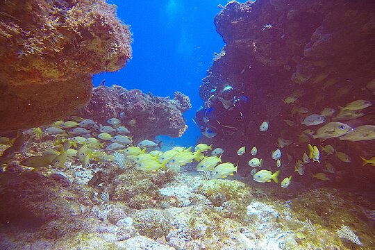 Tour image 4